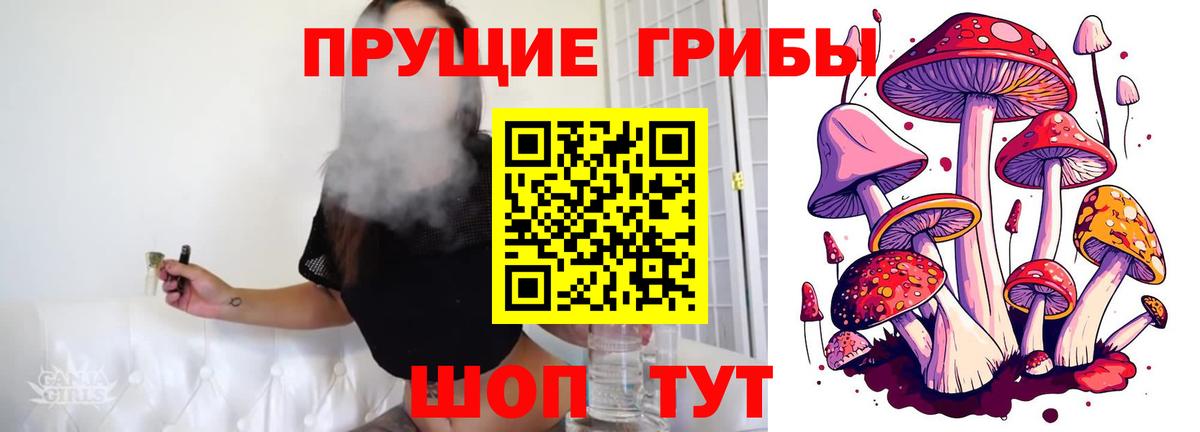 Галлюциногенные грибы мухоморы Россия